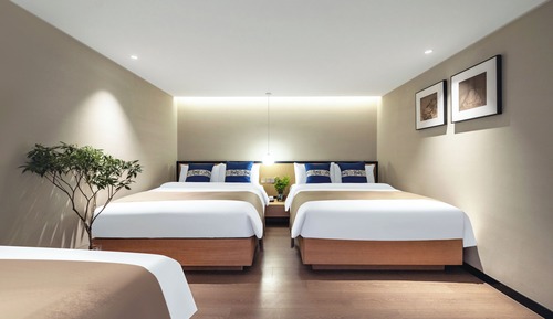 Habitación cuádruple Confort