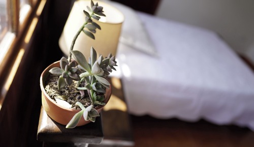 Habitación Confort doble, vistas al jardín