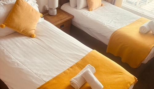 Habitación Deluxe con 2 camas individuales, 2 camas individuales