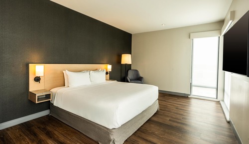 Suite, 1 cama de matrimonio grande con sofá cama