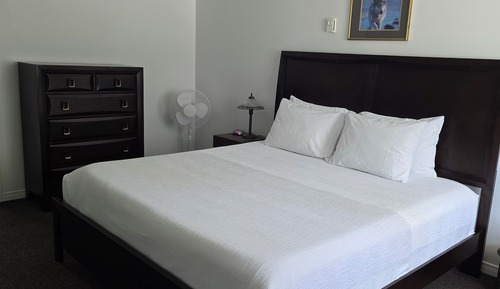 Habitación individual Confort, vistas al jardín