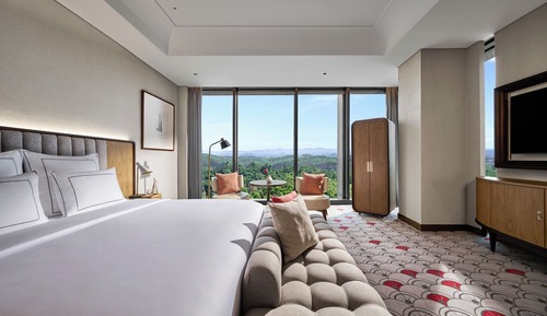 Habitación Grand, 1 cama de matrimonio grande