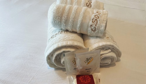 Habitación Deluxe con 2 camas individuales