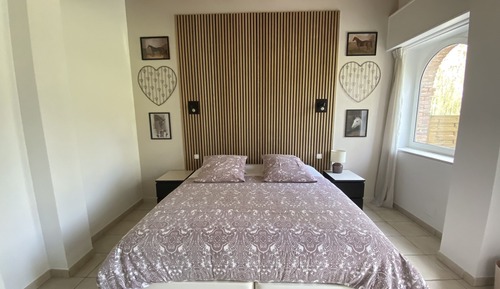 Habitación con 1 cama doble o 2 individuales, vistas al jardín