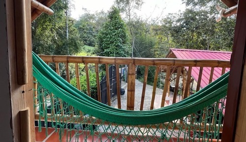 Habitación básica, vistas al jardín