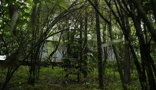 Villa Deluxe, acceso a la piscina, vistas al patio