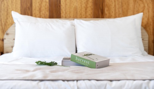 Habitación básica, 1 habitación (D-201)