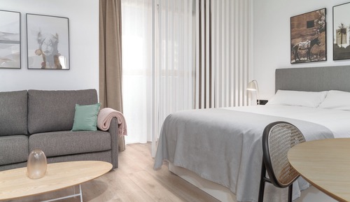 Studio with sofa bed