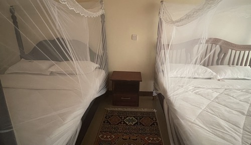 Habitación Deluxe con 2 camas individuales