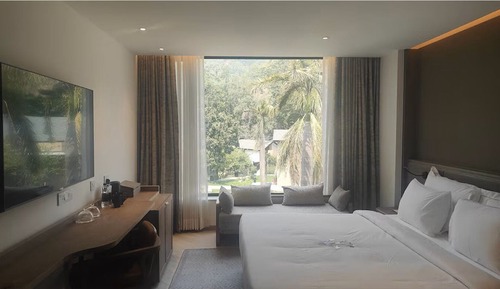 Habitación básica doble (Nature's Den Room)