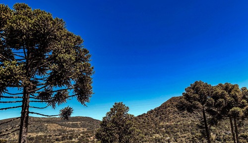 Habitación superior