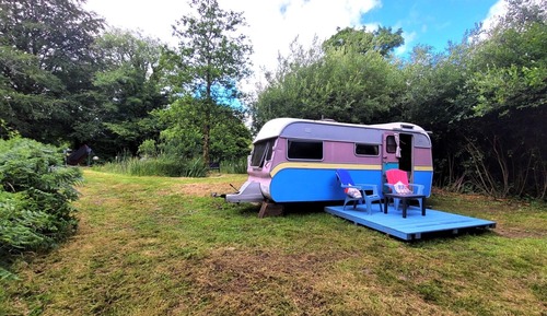 Casa móvil, 1 habitación (The Cwtch)