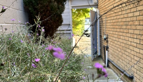 Habitación básica con 2 camas individuales, baño compartido