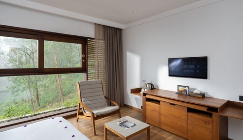 Habitación Premier doble