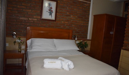 Standard Single Room, Garden View