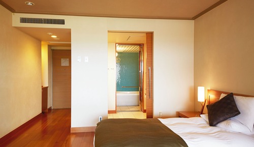 Habitación Deluxe con 2 camas individuales, no fumadores (Universal 113/114)