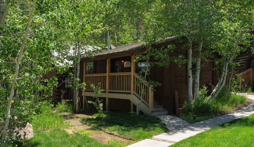 Cabaña básica, 1 cama de matrimonio grande, no fumadores, Se admiten mascotas