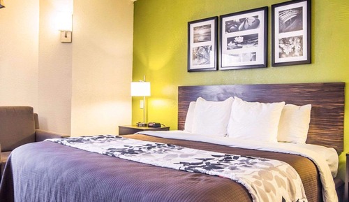 Habitación estándar, 1 cama de matrimonio grande, no fumadores