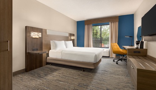 Habitación estándar, 1 cama de matrimonio, accesible para personas con discapacidad (Roll-In Shower)