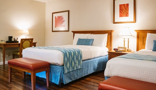 Standard Room, 2 Full Beds