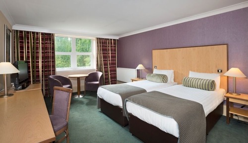 Habitación ejecutiva, 2 camas individuales, no fumadores