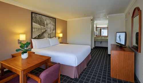 Habitación ejecutiva, 1 cama de matrimonio grande, cocina básica, vistas al jardín