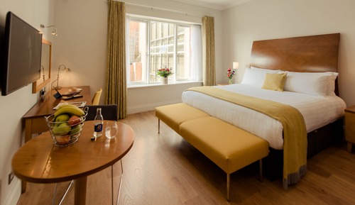 Suite estudio ejecutiva, 1 cama doble