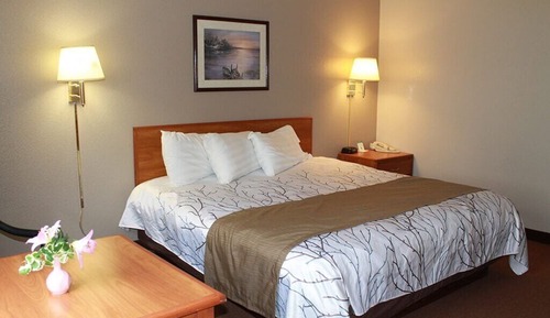 Habitación estándar, 1 cama de matrimonio grande