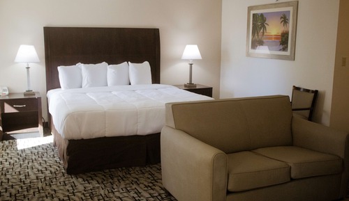 Suite, 1 cama de matrimonio grande, no fumadores, frigorífico y microondas (with Sofabed)