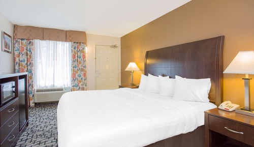 Habitación estándar, 1 cama de matrimonio grande, frigorífico y microondas (Walk-in Shower)