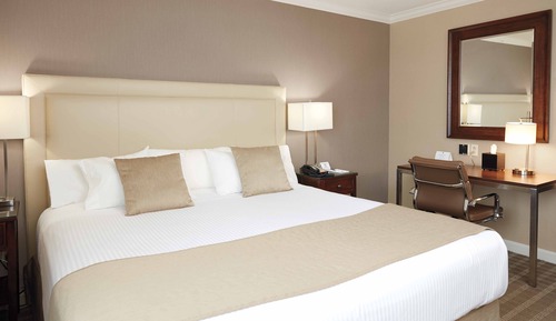 Habitación estándar, 1 cama de matrimonio grande, accesible para personas con discapacidad