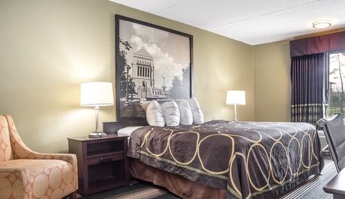 Habitación estándar, 1 cama de matrimonio grande