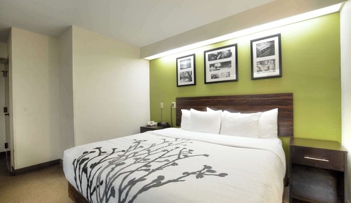 Habitación estándar, 1 cama de matrimonio grande, no fumadores