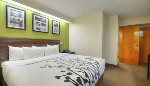 Habitación, 1 cama de matrimonio grande, accesible para personas con discapacidad, planta baja