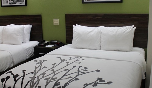 Habitación estándar, 2 camas de matrimonio, no fumadores