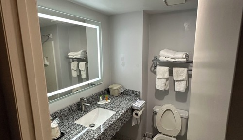 Habitación Deluxe, 1 cama de matrimonio grande