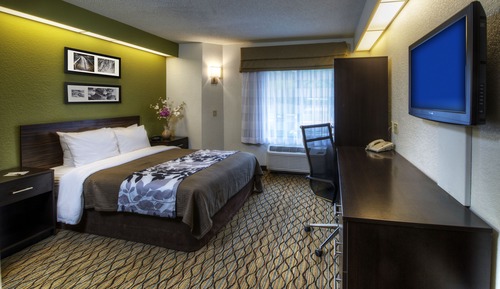 Habitación, 1 cama de matrimonio, accesible para personas con discapacidad, no fumadores