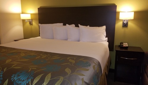 Suite Deluxe, 1 cama de matrimonio grande, no fumadores