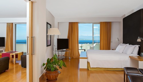 Suite ejecutiva, 1 cama de matrimonio grande