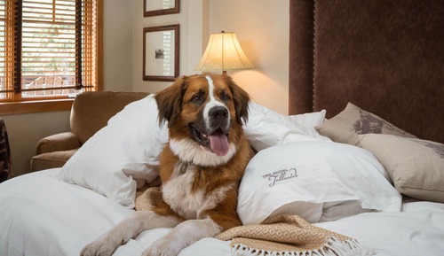 Habitación superior, 1 cama de matrimonio grande