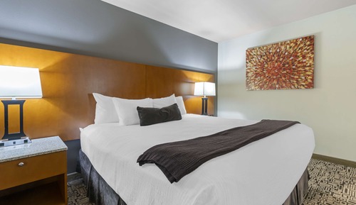 Suite, 1 cama de matrimonio grande, frigorífico y microondas (with Sofabed)