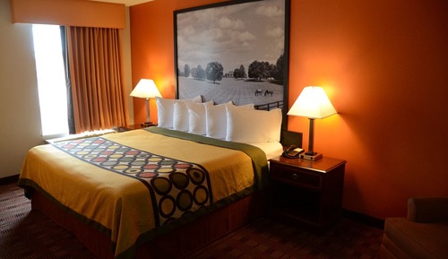 Habitación estándar, 1 cama de matrimonio grande, no fumadores