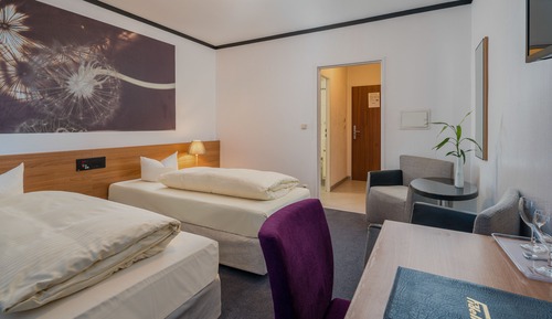 Habitación con 2 camas individuales (Single Use)