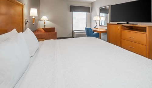 ADA Accessible Room, 1 King Bed, Accessible, Bathtub (Mobility & Hearing)