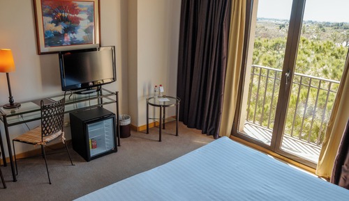 Habitación clásica con 1 cama doble o 2 individuales, balcón