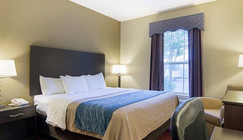 Suite, 1 cama de matrimonio grande, no fumadores