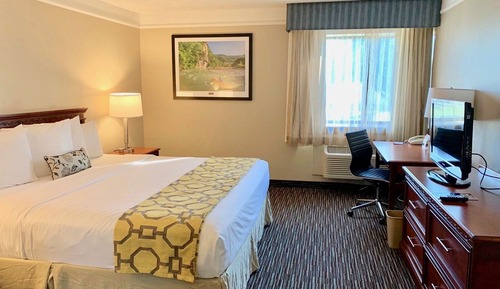 Suite, 1 cama de matrimonio grande, no fumadores (One-Bedroom Suite)