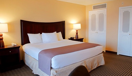 Habitación estándar, 1 cama de matrimonio grande, no fumadores, vistas al río