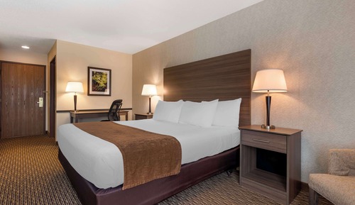 Habitación ejecutiva, 1 cama de matrimonio grande, no fumadores, frigorífico y microondas