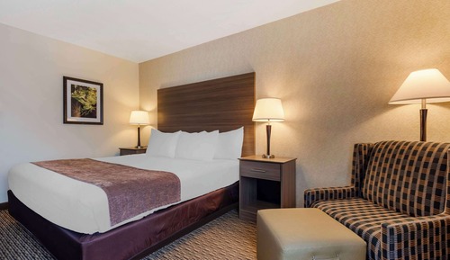 Habitación estándar, 1 cama de matrimonio grande, frigorífico y microondas (Pet Friendly)